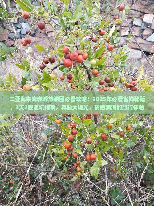 赤峰去三亚海棠湾大型旅游团