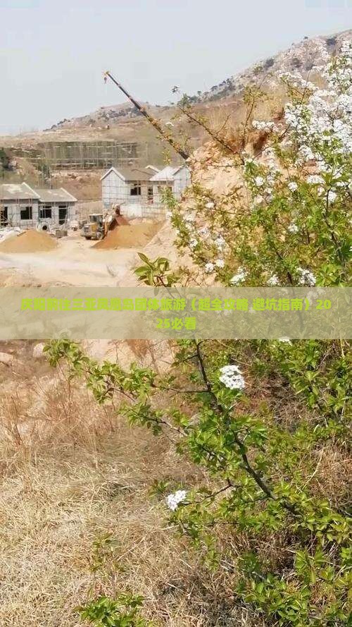 庆阳前往三亚凤凰岛团体旅游