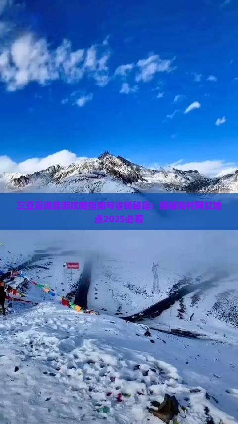 张北去三亚后海旅游网红地点