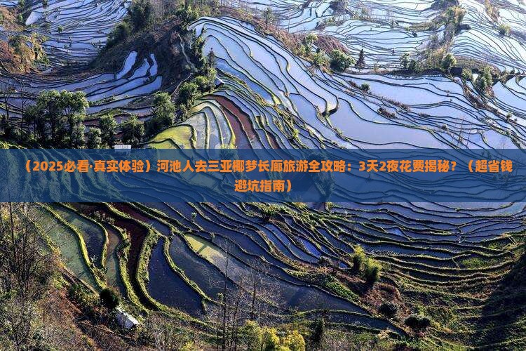 河池去三亚椰梦长廊旅游