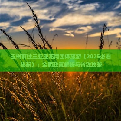 玉树前往三亚亚龙湾团体旅游