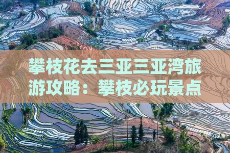 攀枝花去三亚三亚湾必玩地