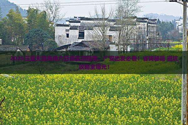 广安前往三亚天涯海角六日游