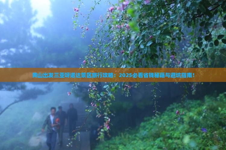 黄山出发三亚呀诺达景区旅行社