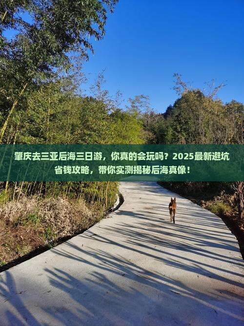 肇庆去三亚后海三日游