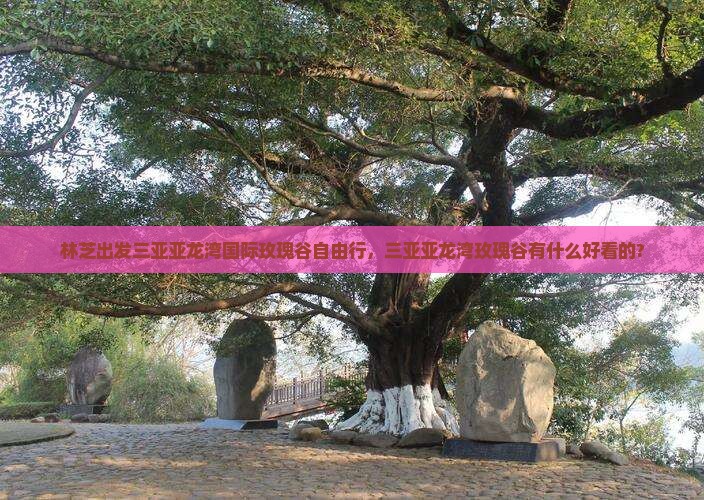林芝出发三亚亚龙湾国际玫瑰谷自由行