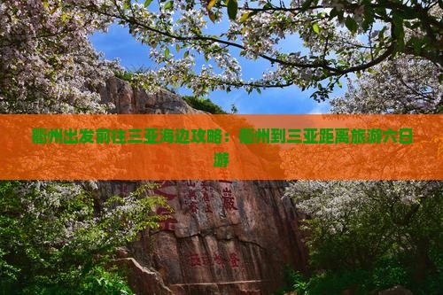 衢州前往三亚天涯海角六日游