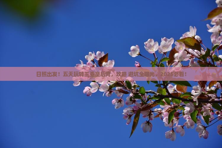 日照前往三亚皇后湾五日游