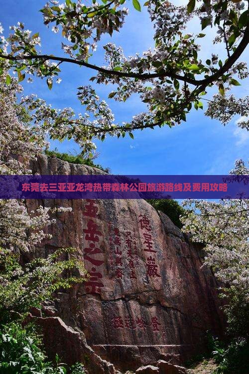 东莞去三亚亚龙湾热带森林公园旅游