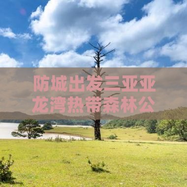 防城港出发三亚亚龙湾热带森林公园一日游