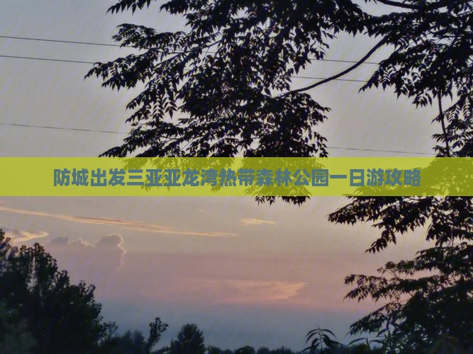 防城港出发三亚亚龙湾热带森林公园一日游