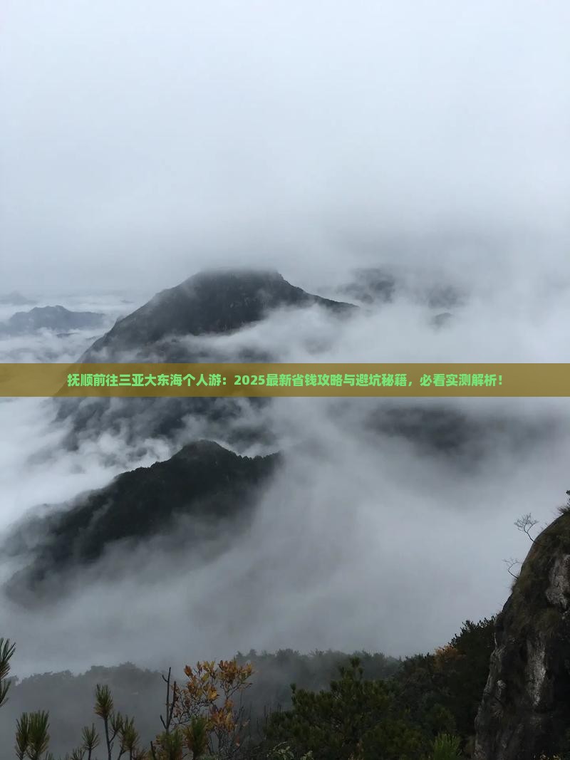 抚顺前往三亚大东海个人游