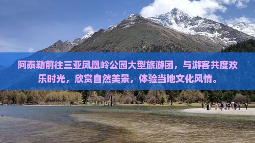 阿泰勒前往三亚凤凰岭公园大型旅游团