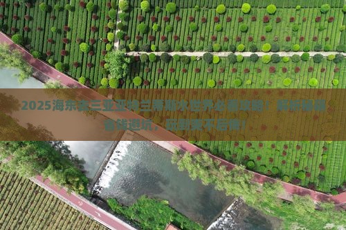 海东去三亚亚特兰蒂斯水世界必玩地