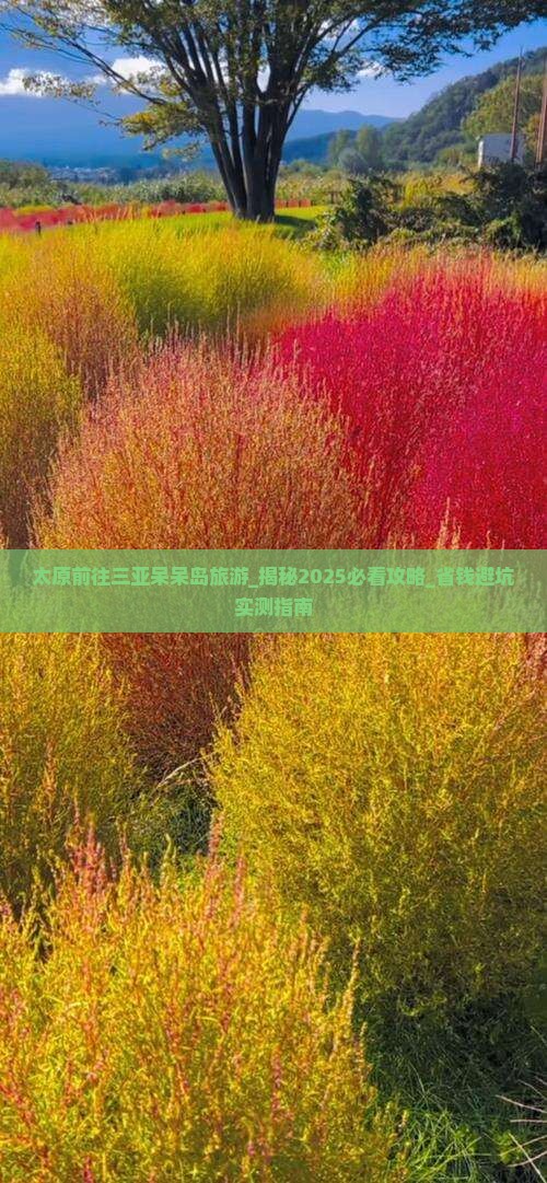 太原前往三亚呆呆岛旅游