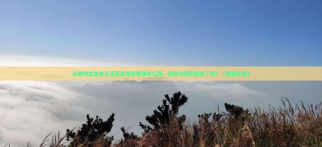 徐州出发三亚亚龙湾热带森林公园旅游小吃