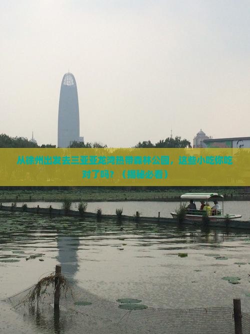 徐州出发三亚亚龙湾热带森林公园旅游小吃