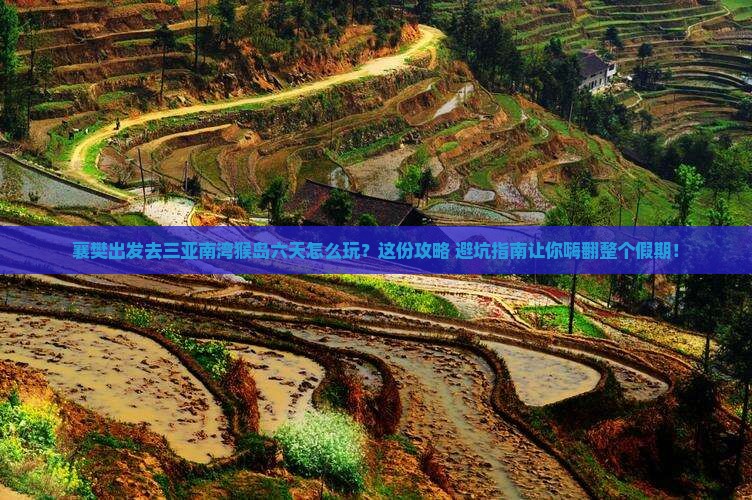 襄樊出发三亚南湾猴岛六日游