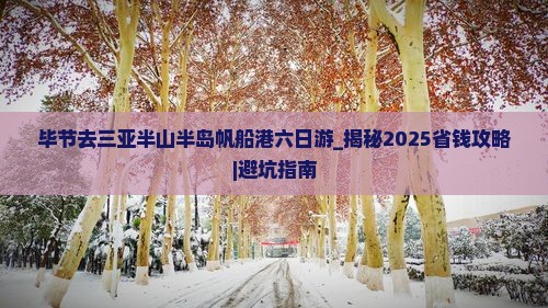 毕节去三亚半山半岛帆船港六日游