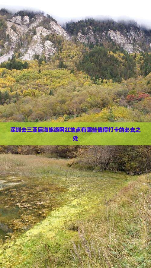 深圳去三亚后海旅游网红地点