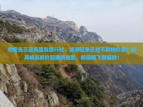 哈密去三亚凤凰岛旅行社