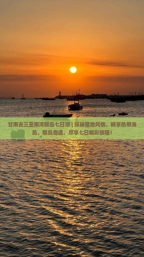 甘南去三亚南湾猴岛七日游