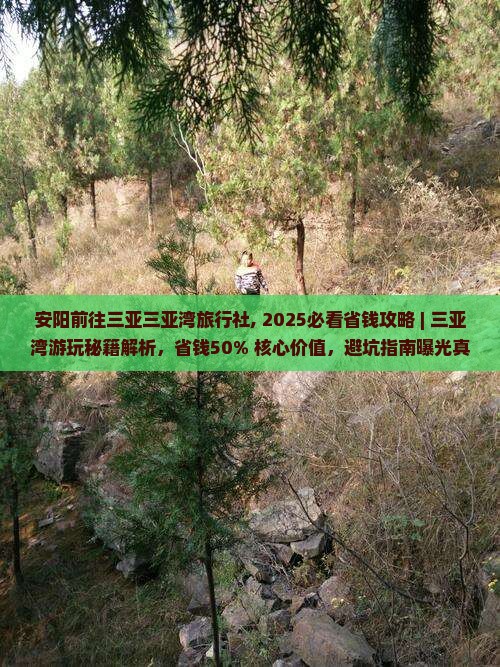 安阳前往三亚三亚湾旅行社