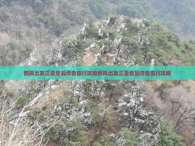 鹤岗出发三亚皇后湾自由行