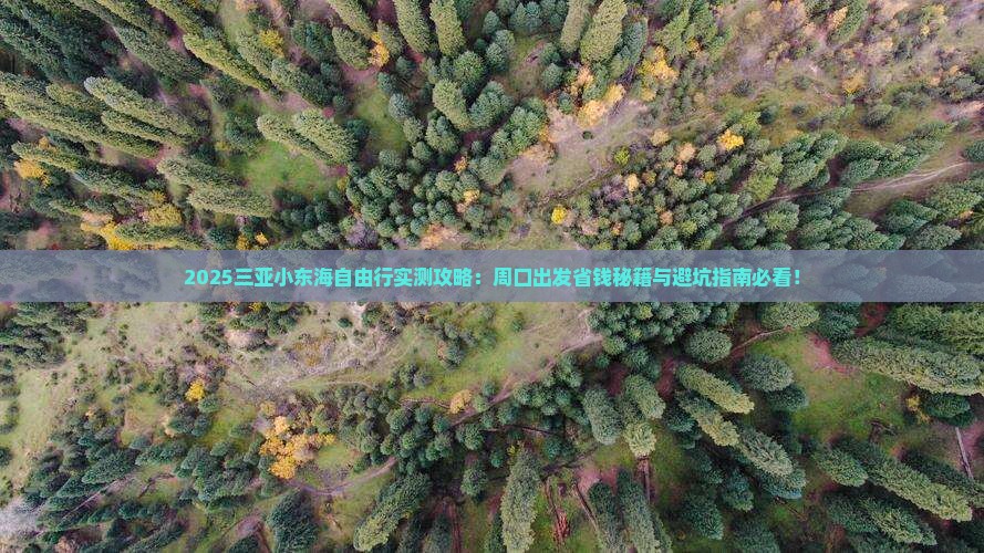 周口去三亚小东海自由团