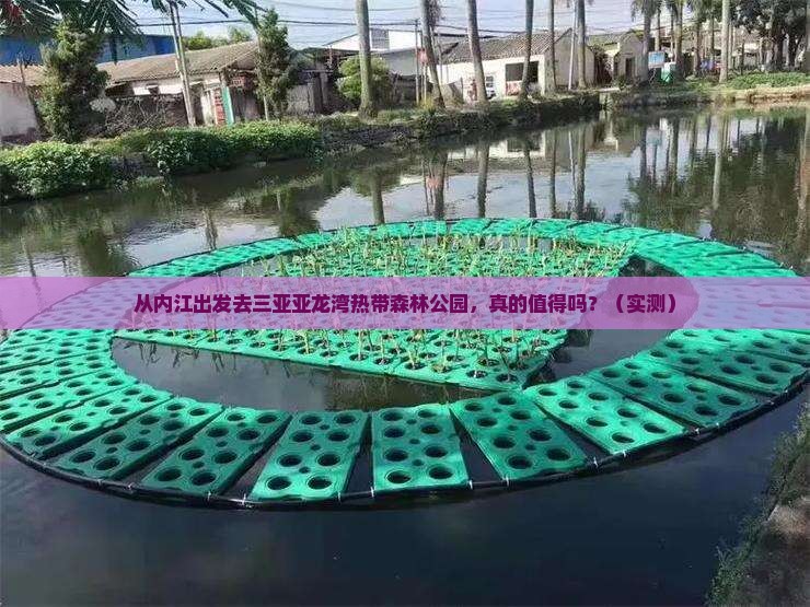 内江出发三亚亚龙湾热带森林公园攻略