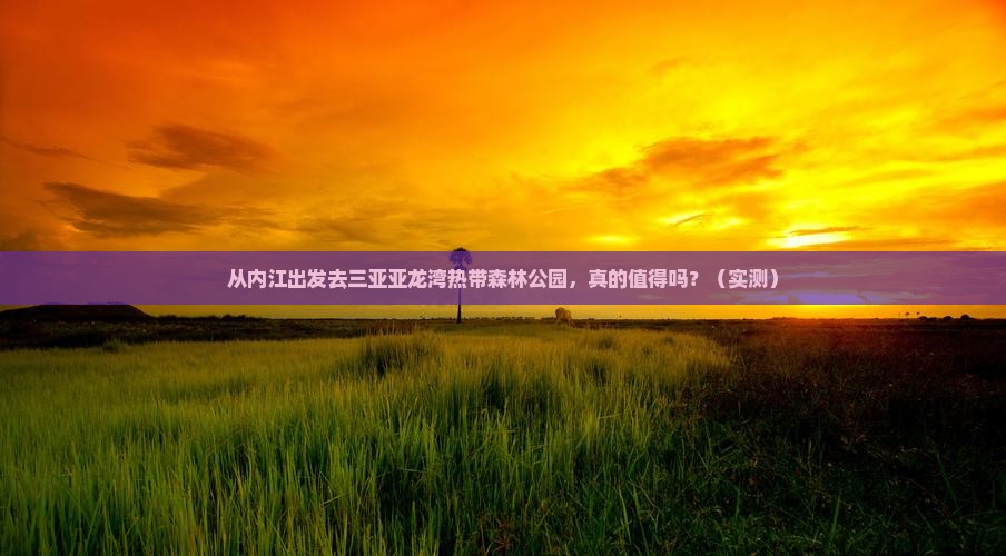 内江出发三亚亚龙湾热带森林公园攻略