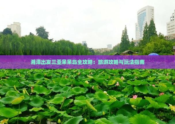湘潭出发三亚呆呆岛哪里玩