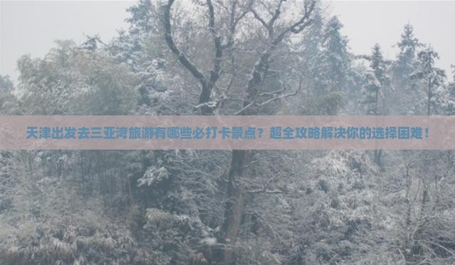 天津前往三亚三亚湾旅游打卡点