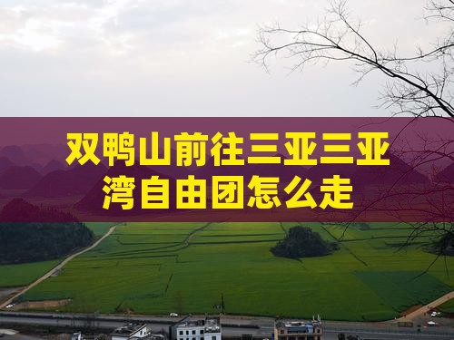 双鸭山前往三亚三亚湾自由团