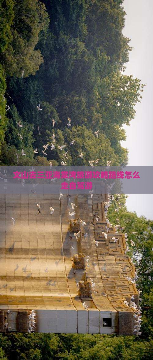 文山去三亚海棠湾旅游