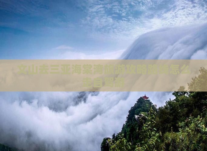 文山去三亚海棠湾旅游