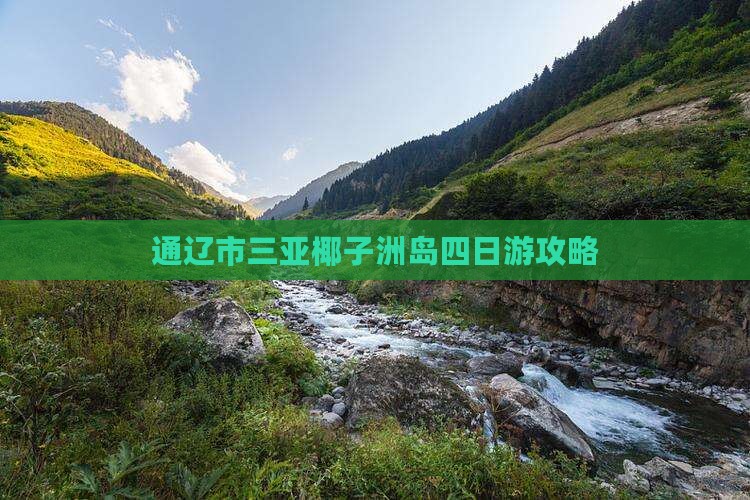通辽市前往三亚椰子洲岛四日游