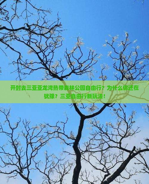 开封去三亚亚龙湾热带森林公园自由行