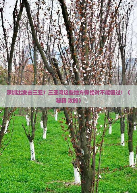 深圳出发三亚三亚湾必玩地
