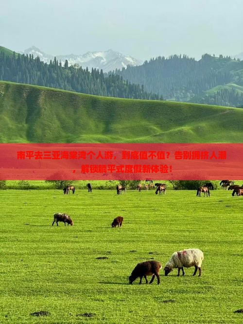 南平去三亚海棠湾个人游
