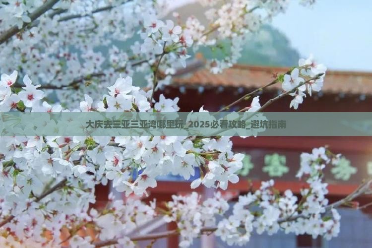 大庆去三亚三亚湾哪里玩