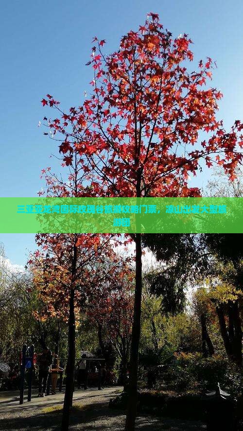 凉山出发三亚亚龙湾国际玫瑰谷大型旅游团