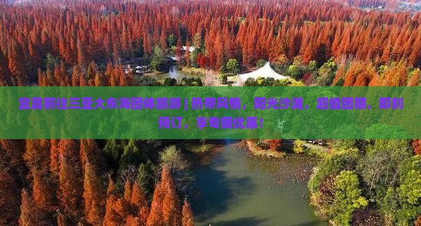 宜昌前往三亚大东海团体旅游