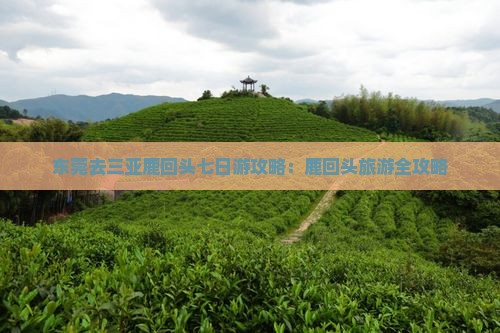 东莞去三亚鹿回头七日游