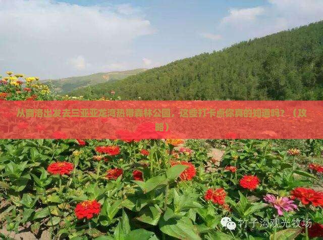 商洛前往三亚亚龙湾热带森林公园旅游打卡点