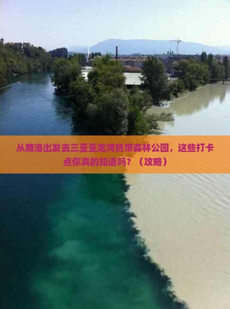 商洛前往三亚亚龙湾热带森林公园旅游打卡点