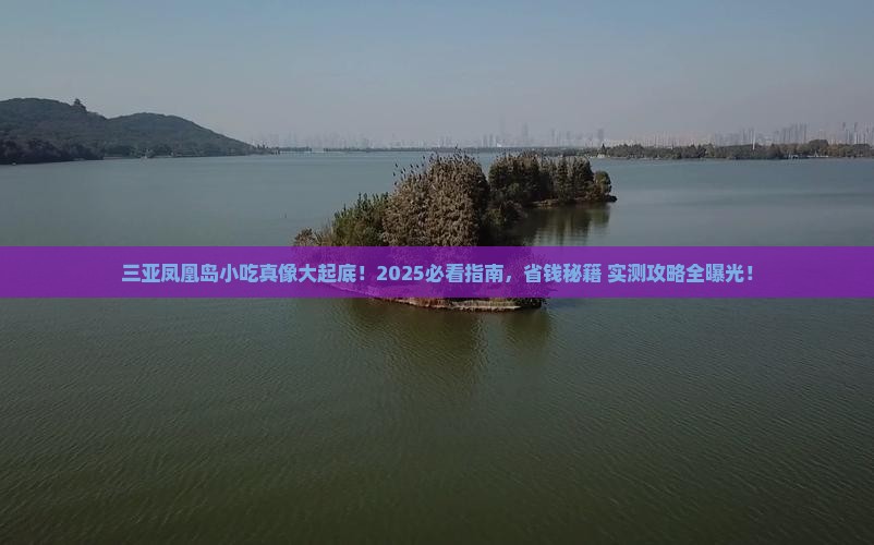 永新出发三亚凤凰岛旅游小吃