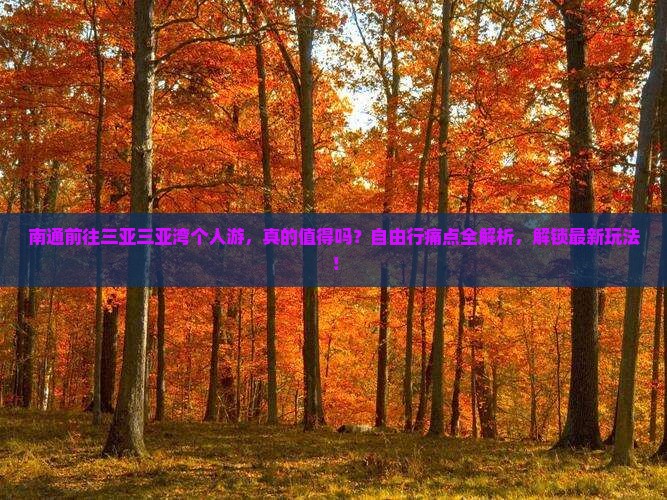 南通前往三亚三亚湾个人游