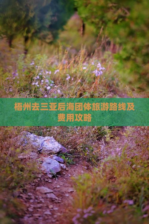 梧州去三亚后海团体旅游路线及费用攻略
