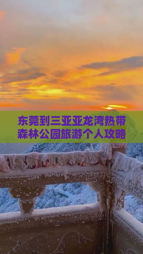 东莞到三亚亚龙湾热带森林公园旅游个人攻略